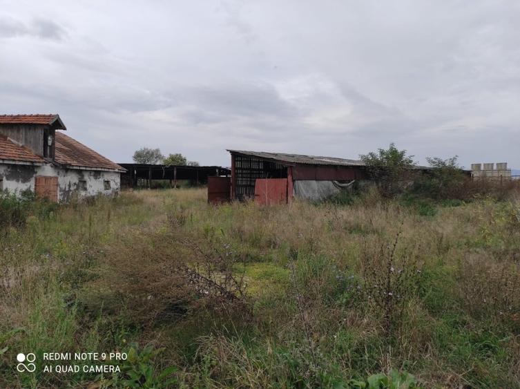 Teren Construcții intravilan de 40000 mp, în Colonia Bod