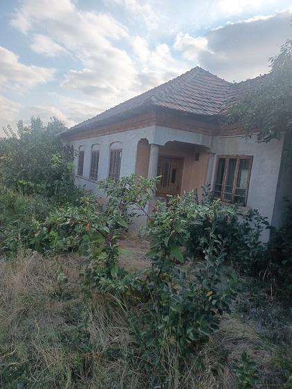 Casa de vanzare in Galicea Mare Dolj - 4