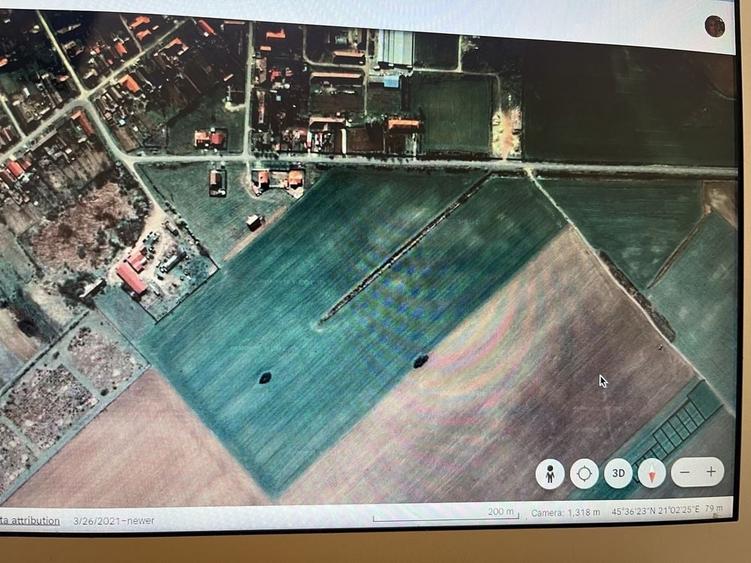 Teren de 50000 mp, în Peciu Nou