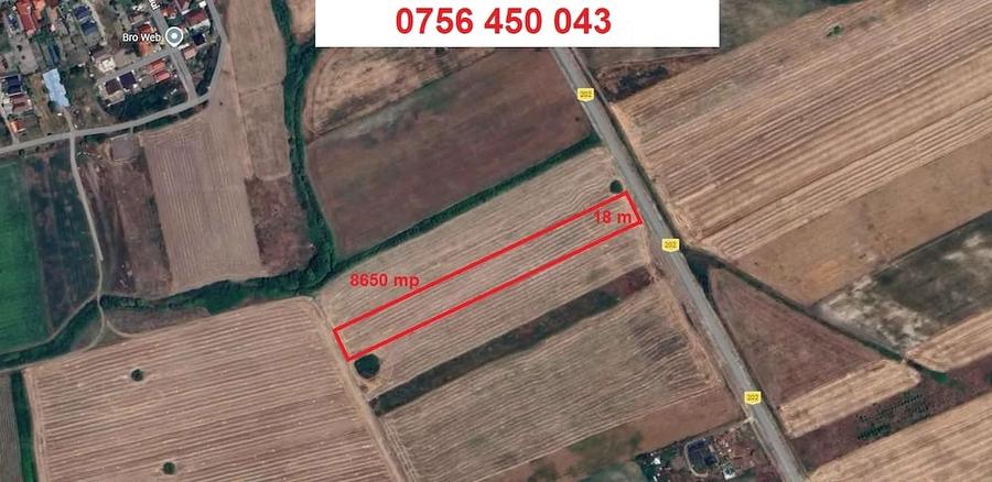 Teren de 8650 mp, în Sânmihaiu Român