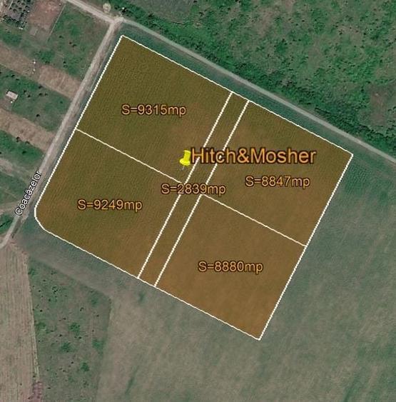 Teren Construcții intravilan de 84174 mp, în Giarmata-Vii