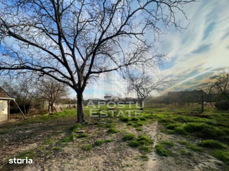 Teren de 1575 mp, în Sânnicolau Mic