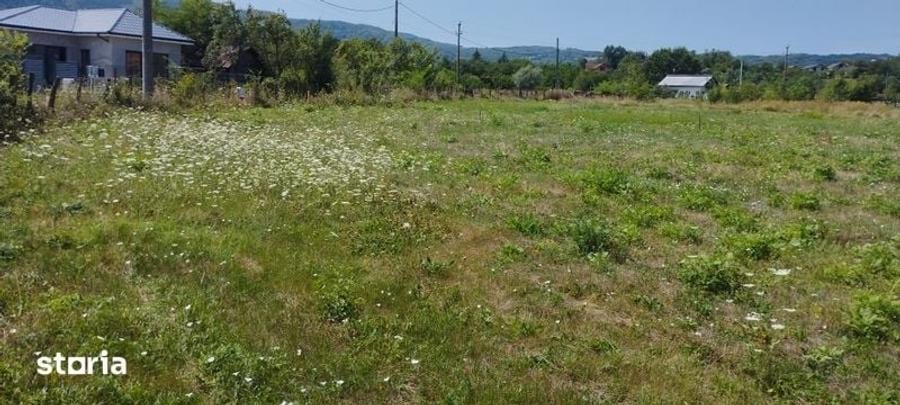 Teren de 650 mp, în Bujoreni