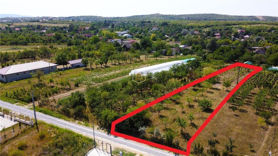 Teren Construcții intravilan de 1320 mp, în Sud