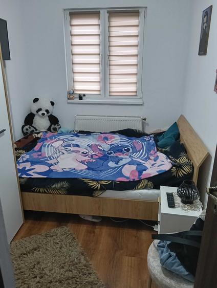 Apartament 3 camere la etajul 2 - 2