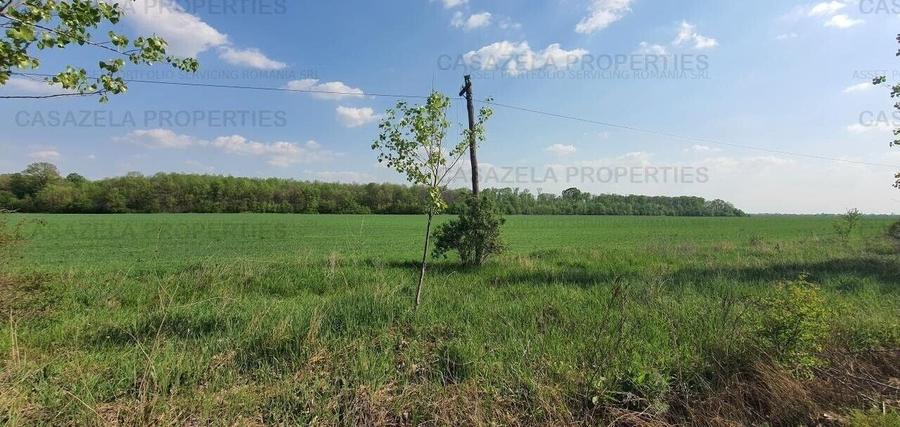 Teren agricol intravilan de 17900 mp, în Răcari