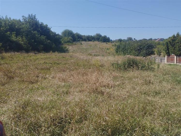 Teren Construcții intravilan de 2590 mp, în Barați