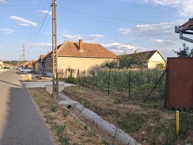 Vand loc de casa in Alparea - 3