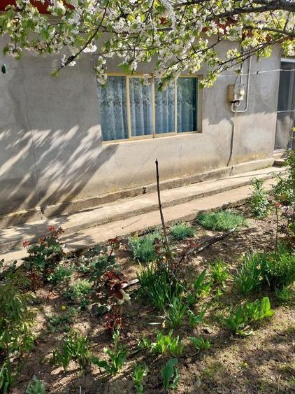 Vand casa ( teren 2.000 mp) in sat Pietrele, jud. Giurgiu - 5