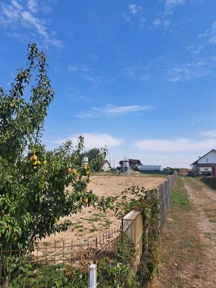 Teren de 4000 mp, în Plopeni