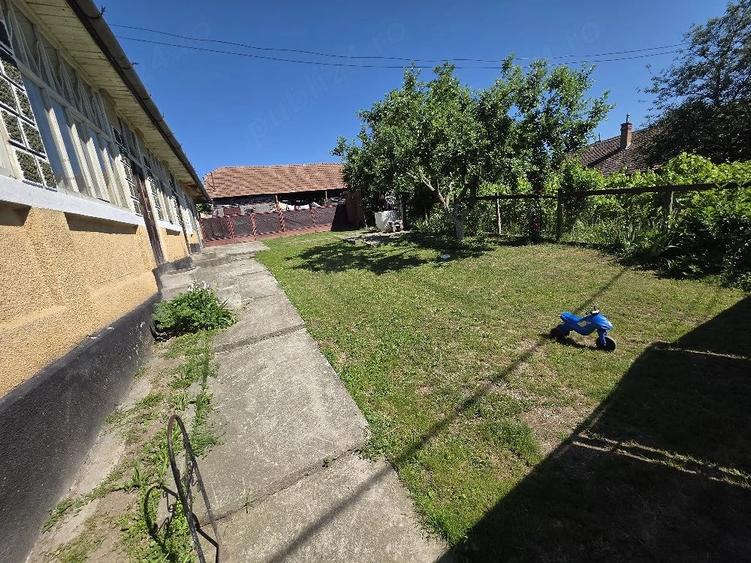 Casă cu 3 camere cu Teren 40000 Mp în Tirimia