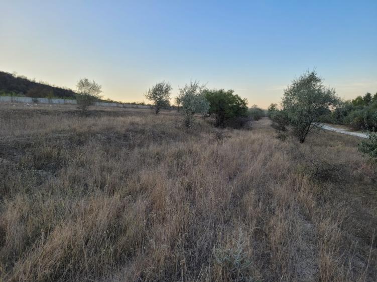 Teren agricol extravilan de 14000 mp, în Cernavodă