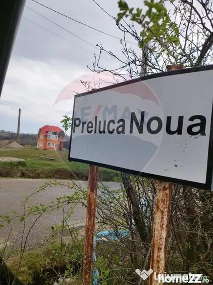 Casă cu 7 camere cu Teren 8286 Mp în Preluca Nouă