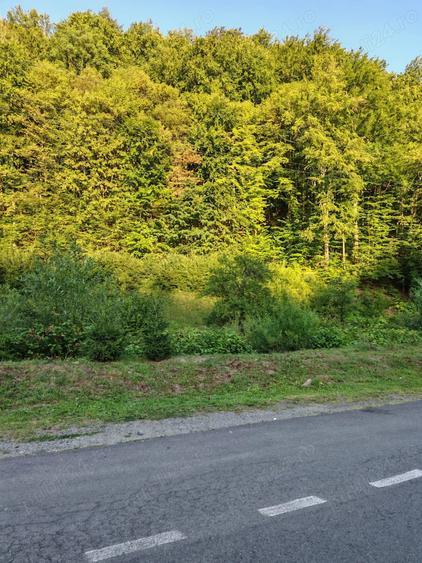 Teren de 1355 mp, în Firiza