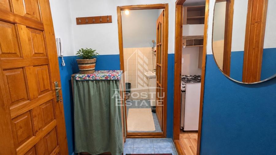Apartament cu 2 camere decomandat, mobilat în Buziașului