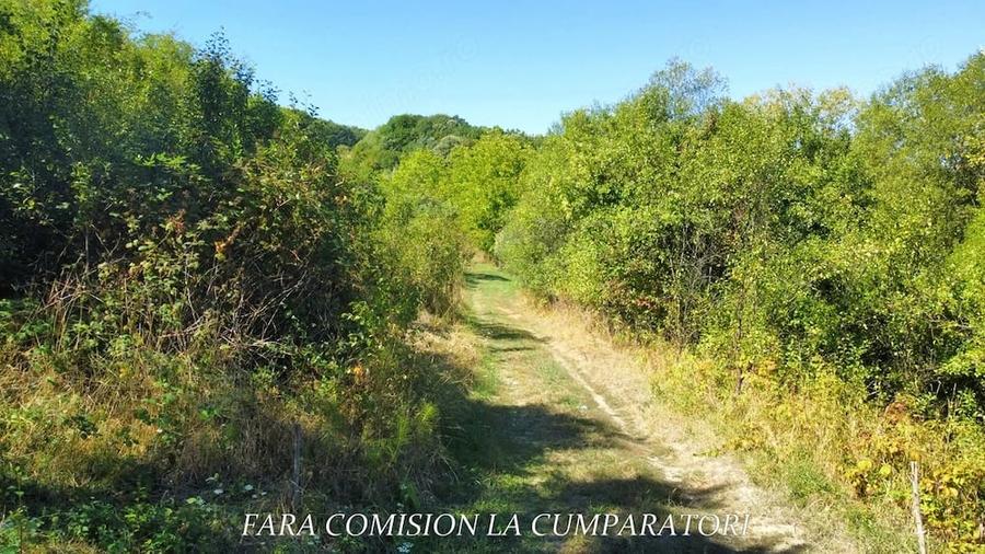 Teren de 4849 mp, în Căzănești (Râmnicu Vâlcea)