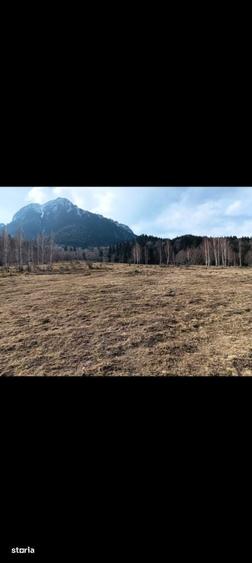 Spațiu comercial, în Plaiul Foii