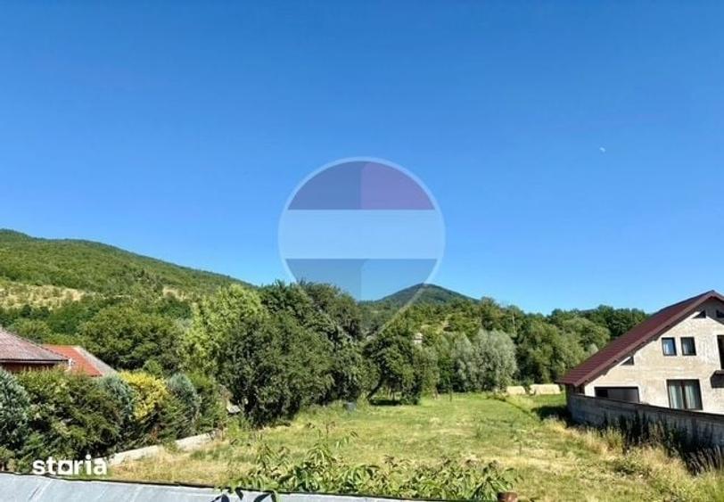 Teren de 3154 mp, în Bârsana