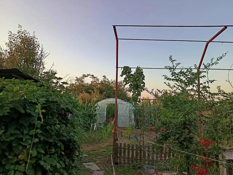 Casă cu 3 camere cu Teren 2200 Mp în Broșteni (Vișina)