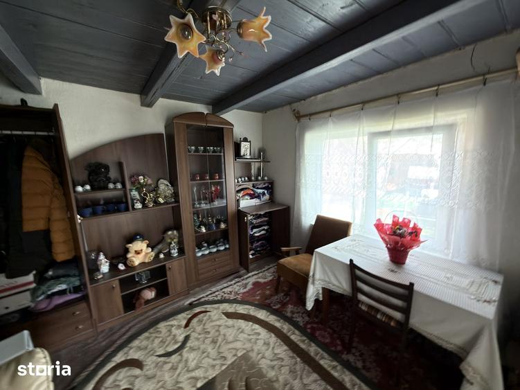 Casă cu 5 camere cu Teren 5000 Mp în Mihai Eminescu
