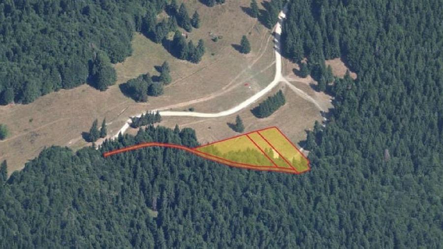 Teren agricol intravilan de 6000 mp, în Nord