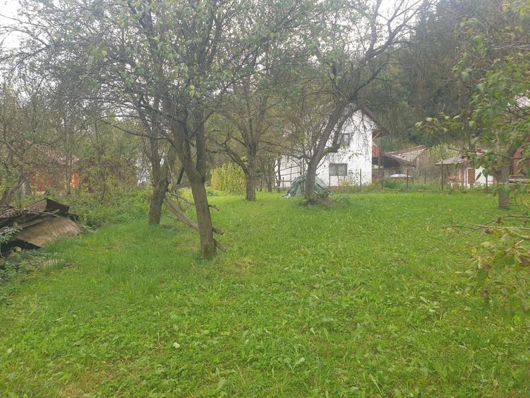 Casă cu 4 camere în Vișeu de Jos