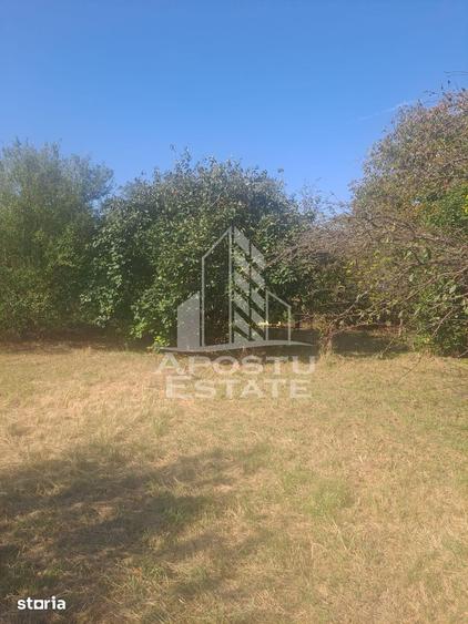 Casă cu 2 camere cu Teren 5075 Mp în Foeni