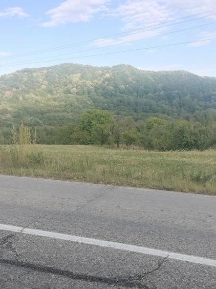 Teren de 2500 mp, în Domnești