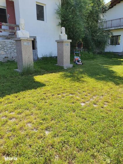 Casă cu Teren 2000 Mp în Baia de Fier