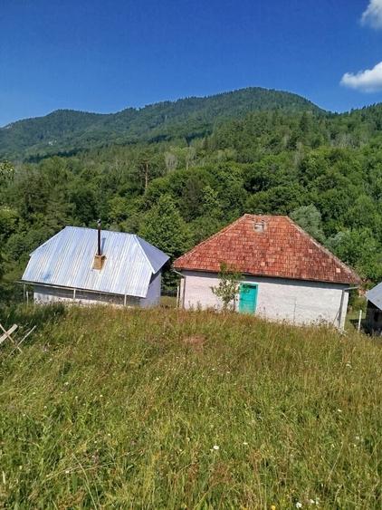 Casă cu 3 camere în Vadu Oii