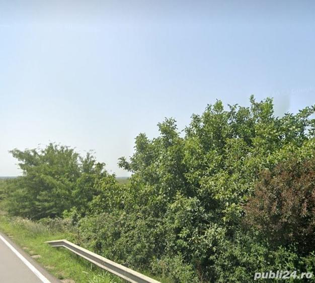 Teren de 5000 mp, în Berceni
