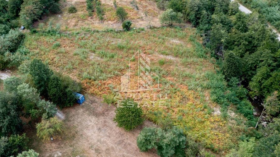 Teren agricol extravilan de 5000 mp, în Borlova