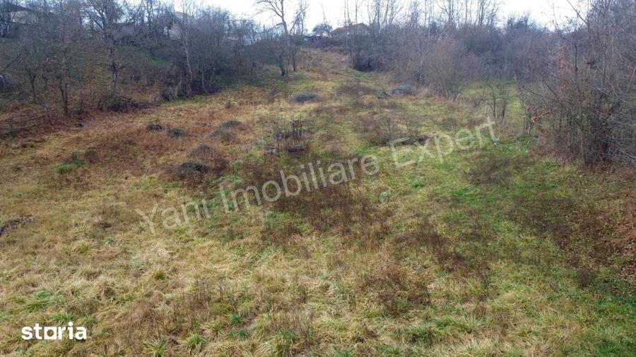 Teren de 3357 mp, în Valea Iașului