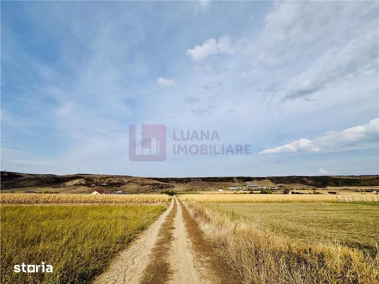 Teren de 6000 mp, în Roșia
