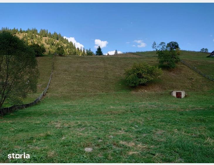 Teren de 1724 mp, în Ortoaia