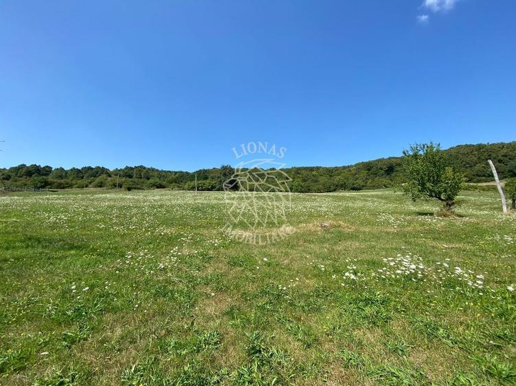 Teren agricol extravilan de 11000 mp, în Unirea