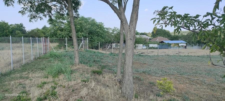 Teren de 2200 mp, în Borcea
