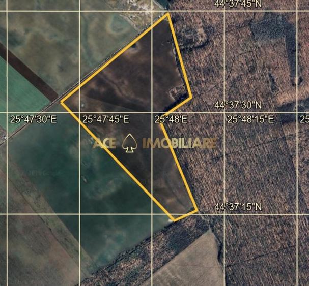 Teren agricol extravilan de 267526 mp, în Tărtășești