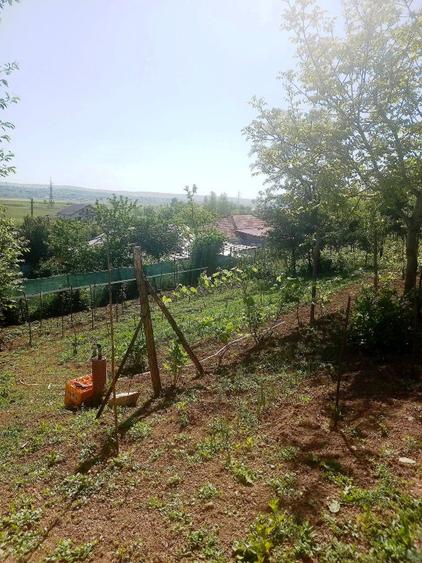 Casă individuală cu 2 camere cu Teren 1100 Mp în Brodoc