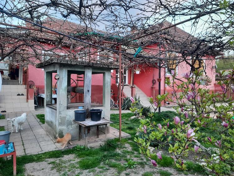 Casă cu 3 camere cu Teren 3505 Mp în Bretea Română
