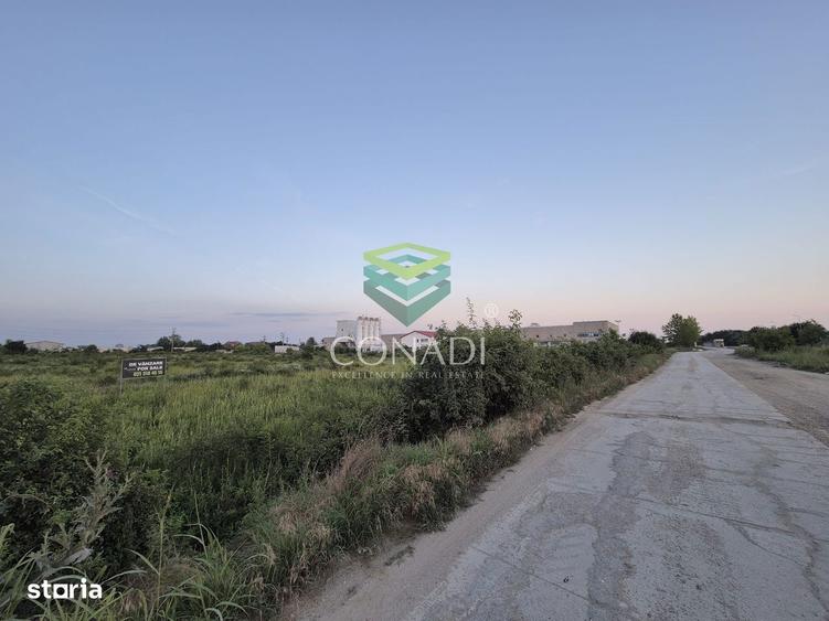 Teren industrial de vanzare in Clinceni 23.943 mp | Langa Centura - 6