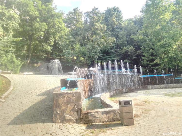 Vand casa Slatina - 8