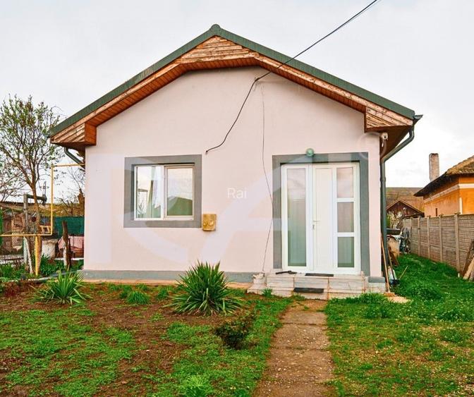 Casa la pret de apartament - 2 camere, teren 650 mp, Pielesti, Dolj