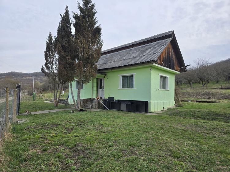 Inchiriez casa gratuit pt o fata serioasa - 4