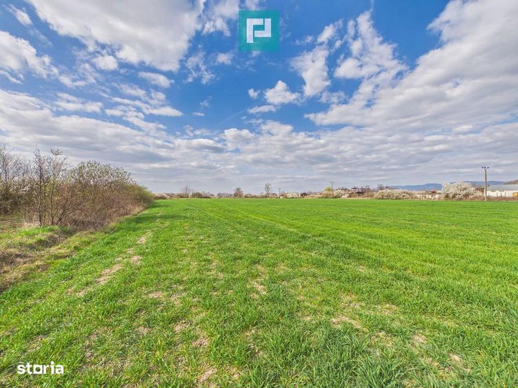 Teren extravilan, 1 ha, in ora?ul Sebi?, Arad - 3