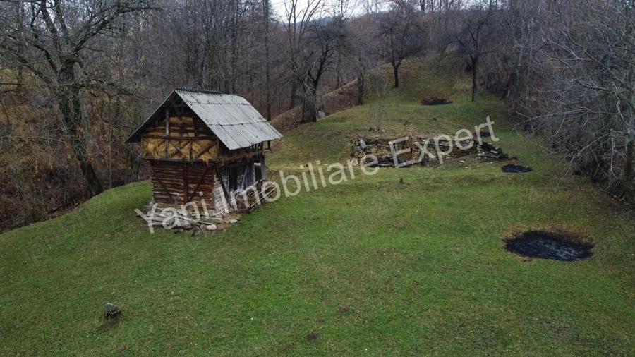 Teren de vanzare in comuna Arefu, jude? Arge?. - 19