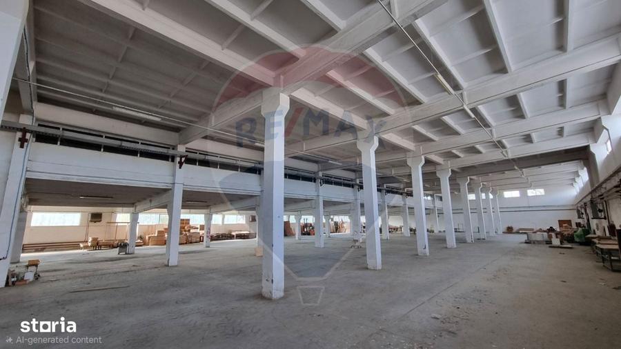 Teren Industrial de Vanzare 4.4 Ha - Zona industriala - Harlau - 5