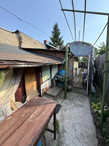 Chitila Colosseum Mall- Parc Maica Teofana - 20