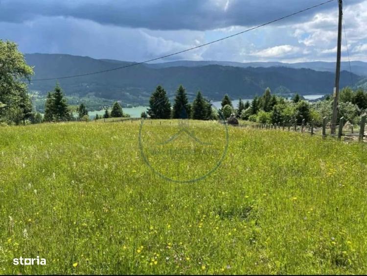 Teren Colibita 1346 mp - 4