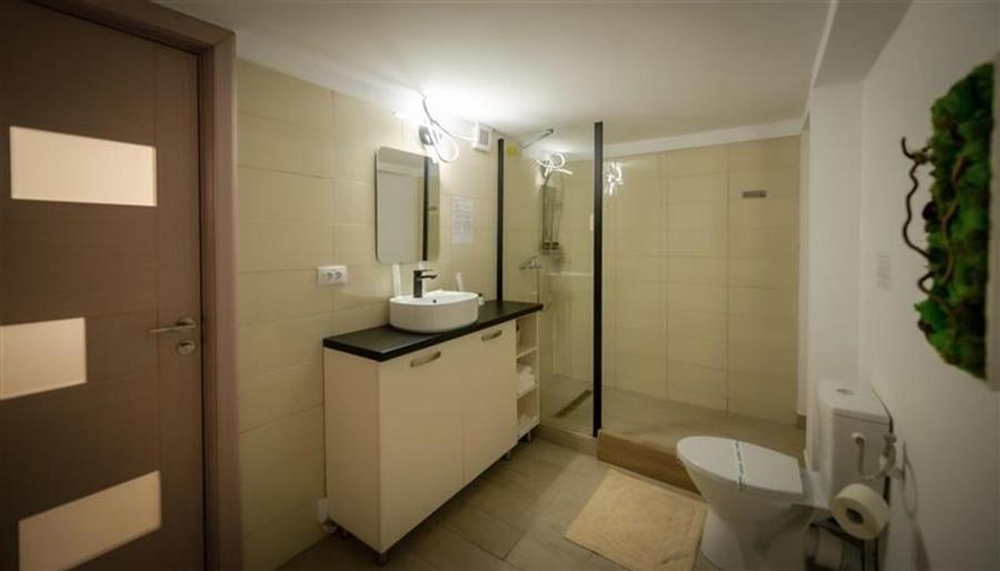 Pensiune Ultracentrala in Iasi - Investiție Profitabilă - 2